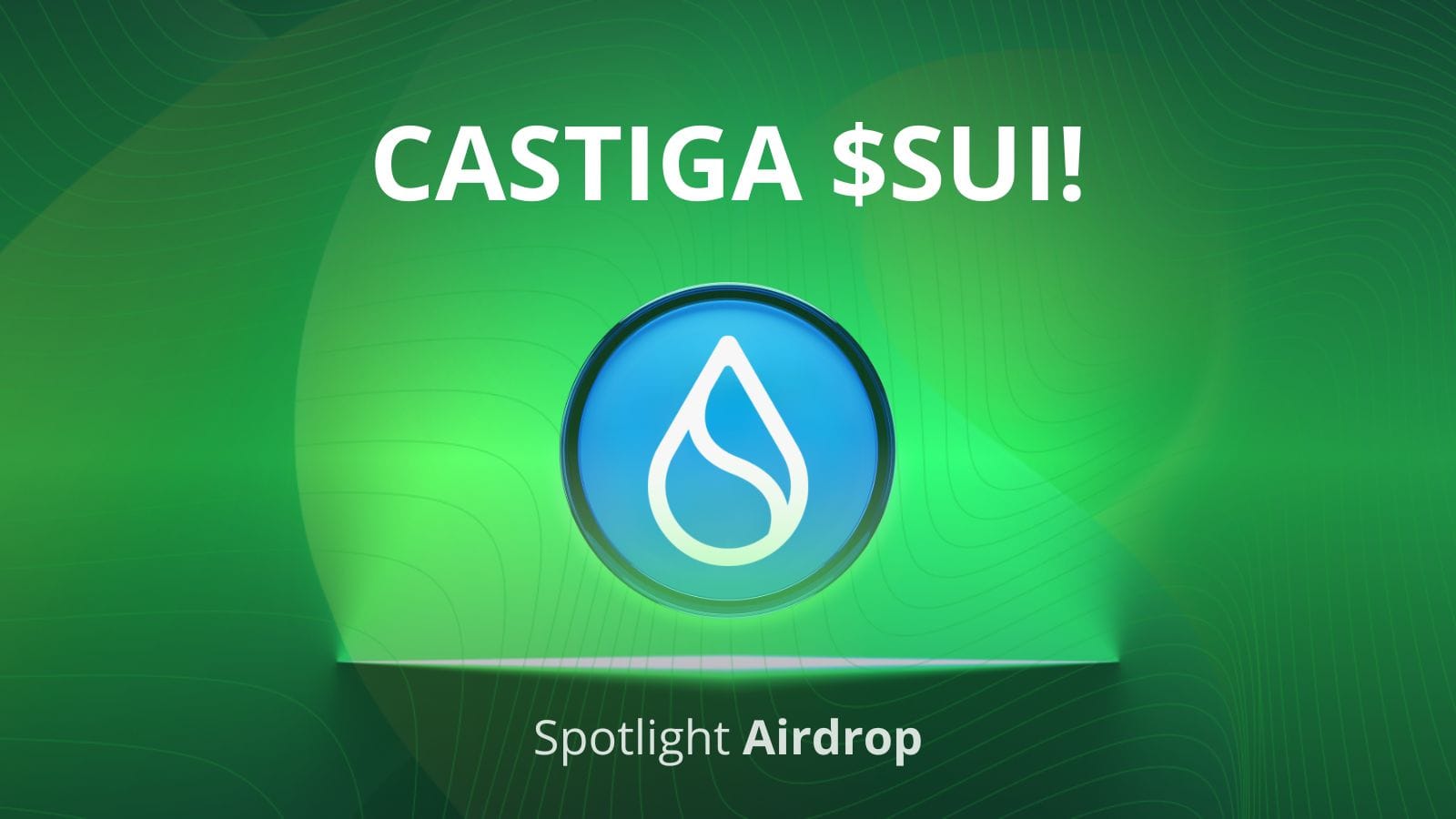 Castiga SUI prin Tradesivania Spotlight!