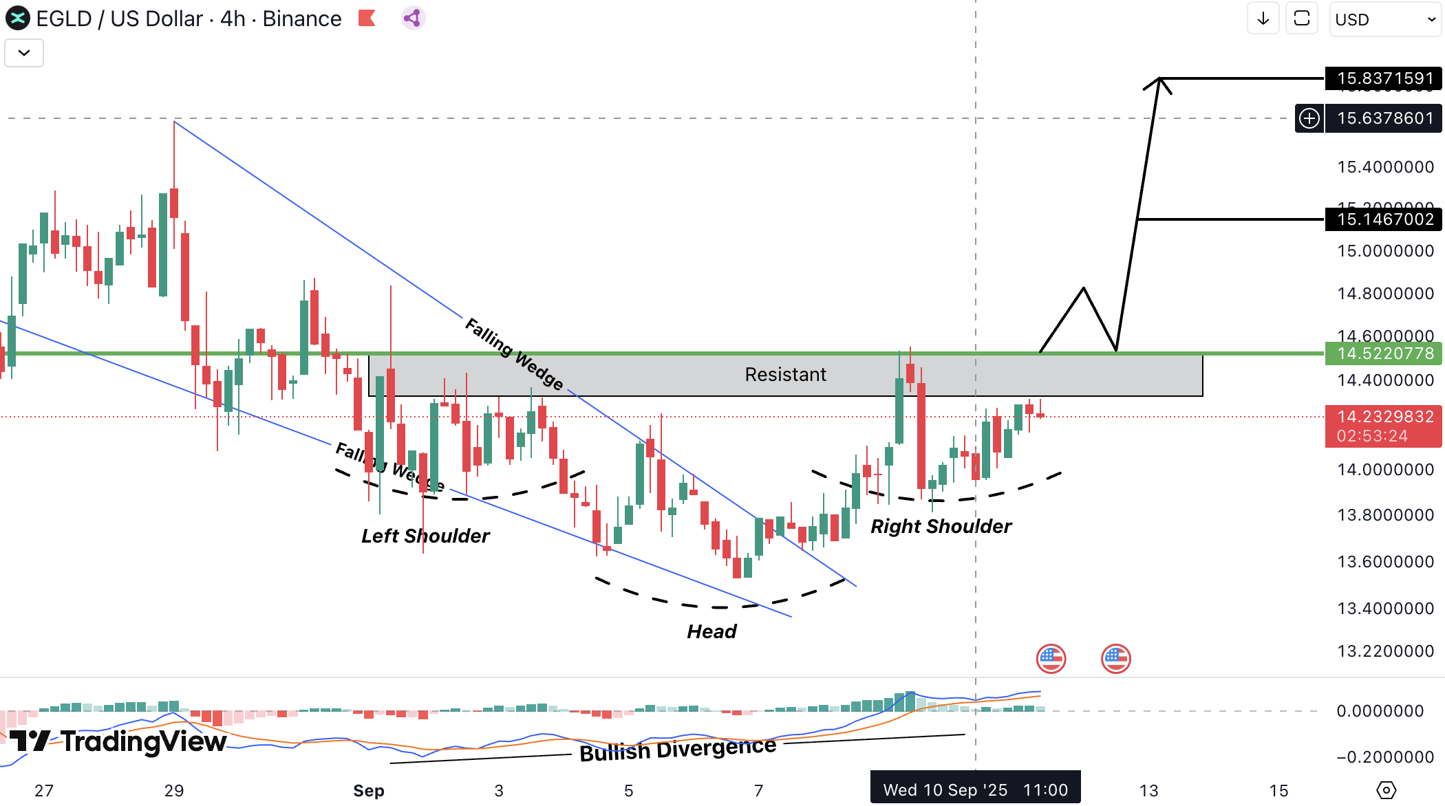 MultiversX (EGLD) Analysis